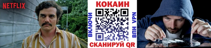 Cocaine FishScale  Приозерск 