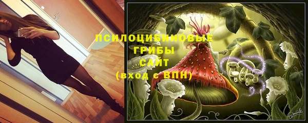 прущая мука Пестово