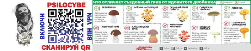 Галлюциногенные грибы Psilocybe цена наркотик Приозерск